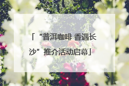 “普洱咖啡 香遇长沙”推介活动启幕